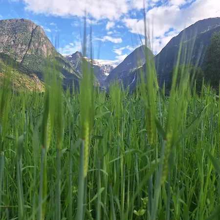 Semesterbostad Microen Stryn