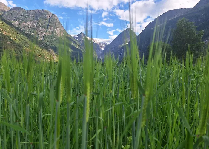 Сasa de vacaciones Microen Stryn